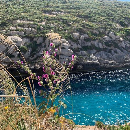 Private Bedroom With Balcony In A Shared Apartment At The Bay Of Xlendi Bagian luar foto