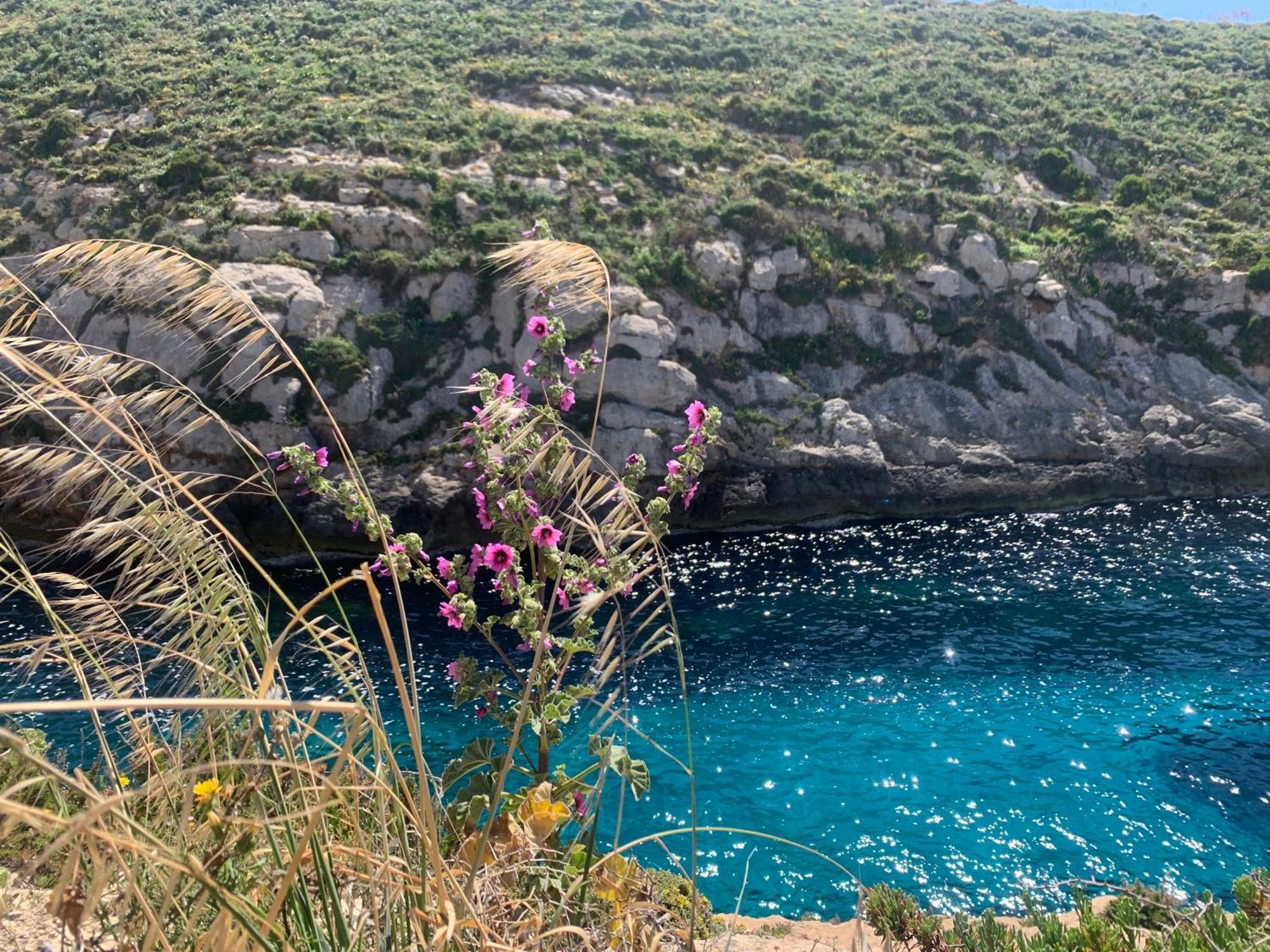 Private Bedroom With Balcony In A Shared Apartment At The Bay Of Xlendi Bagian luar foto